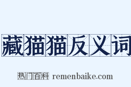 藏猫猫反义词是什么意思的图片